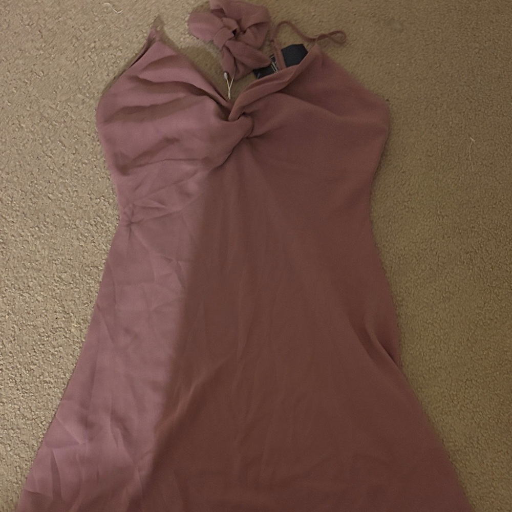 Abercrombie & Fitch Dusty Rose Petite Dress - Brand New